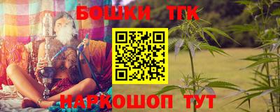 крисы Моздок