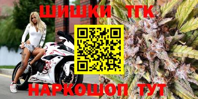 крисы Моздок