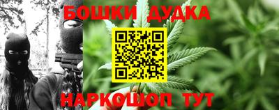 крисы Моздок