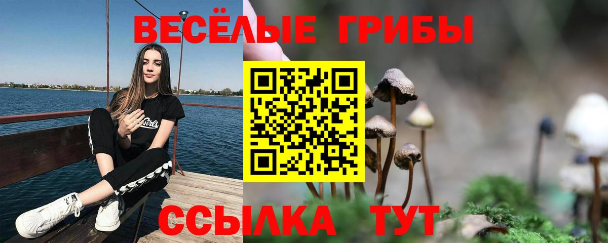 Горячий Ключ  Псилоцибиновые грибы мухоморы  Вход с VPN 
